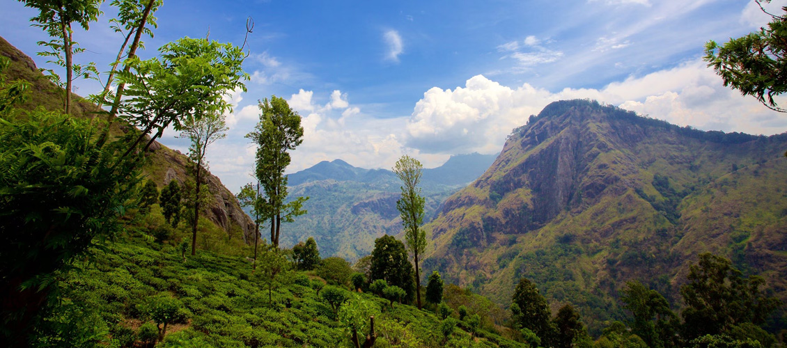 uva province